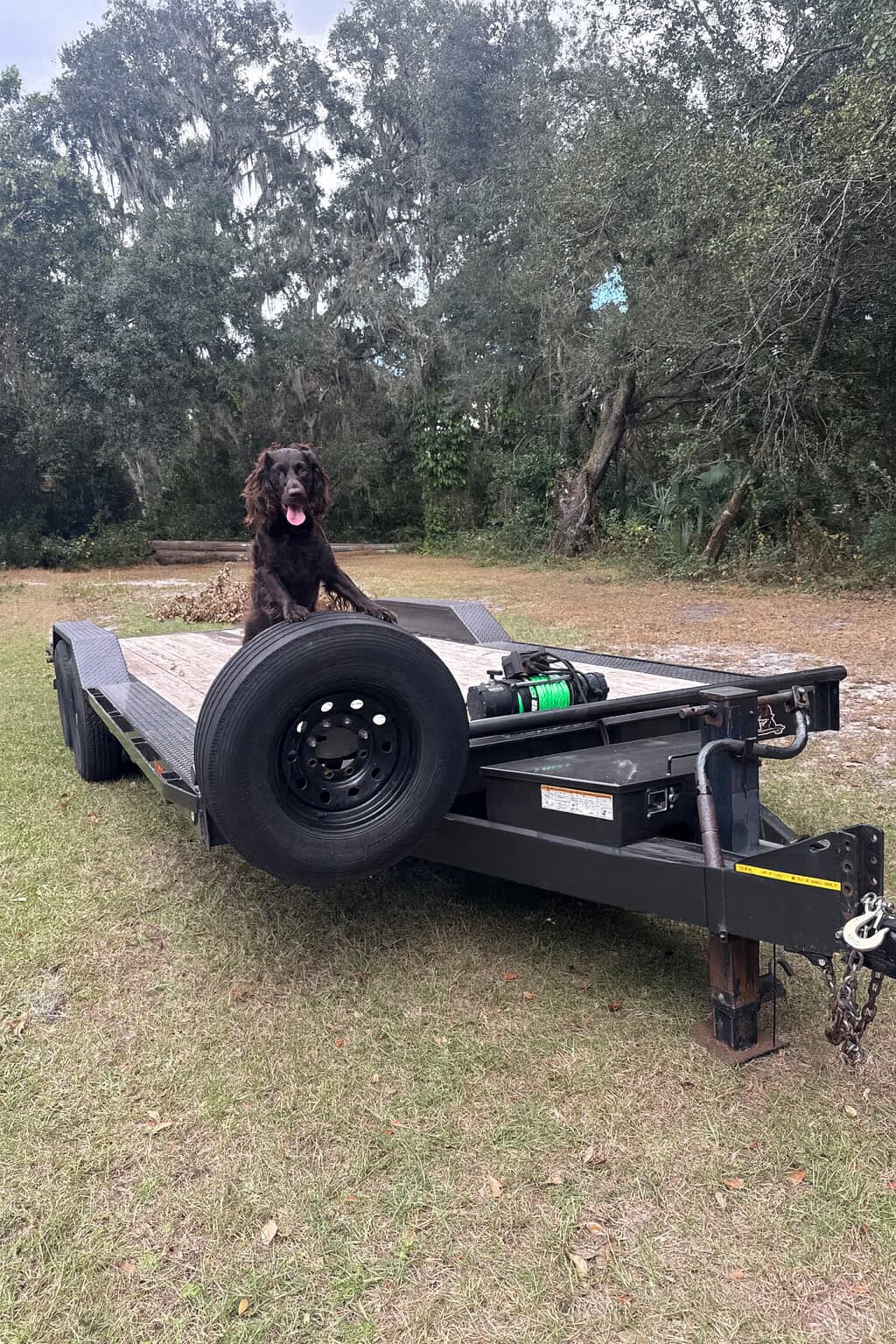 20ft Equipment / Car Trailer