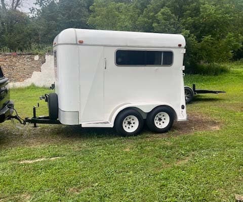 10ft Horse Trailer