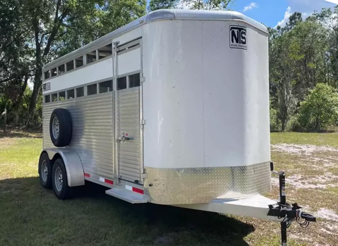 17ft Enclosed Trailer